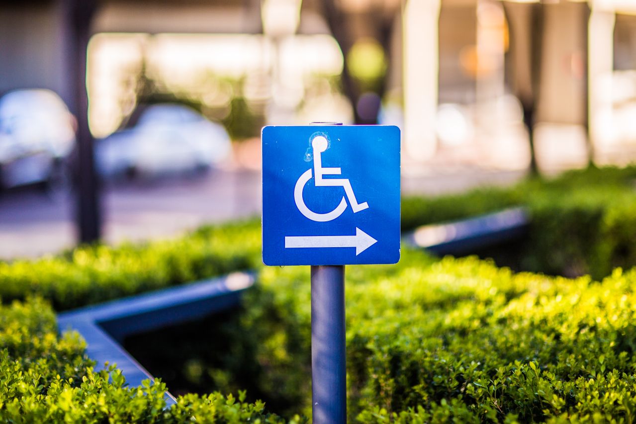 Photograph of the universal sign for disability with greenery in the background